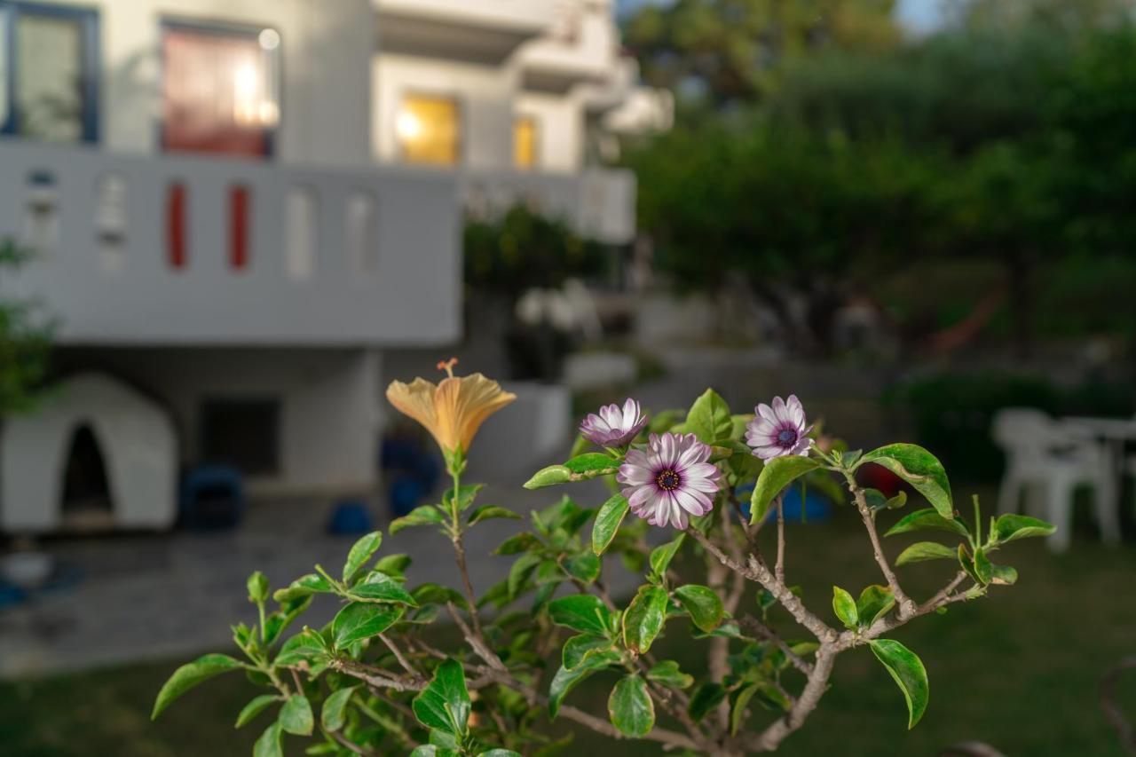 Plakias Bay Hotel Luaran gambar